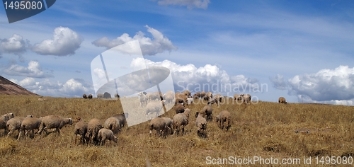 Image of Peru sacred valley