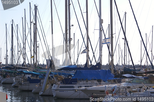 Image of Yachts in Herzlia marina