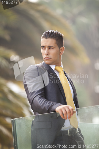 Image of Modern businessman at the office balcony