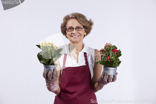 Image of Senior woman planting flowers