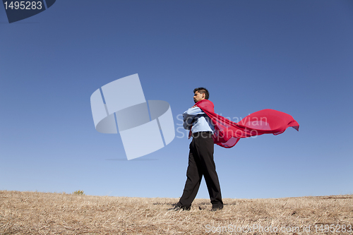 Image of Businessman hero
