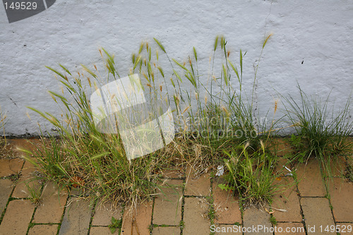 Image of Neglected pavement
