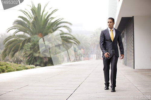 Image of Confident businessman walking