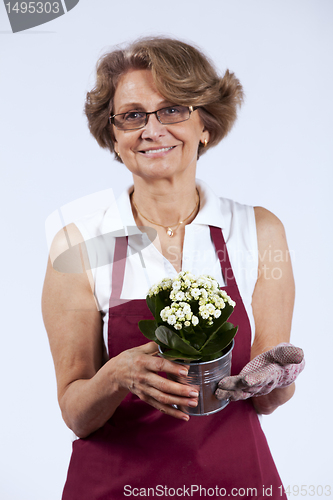 Image of Senior woman planting flowers