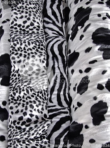 Image of Animal prints