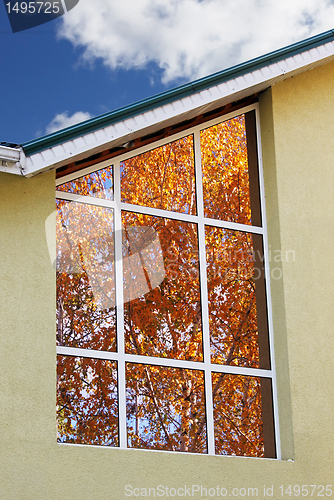 Image of autumn in windows