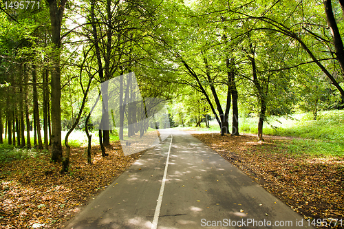 Image of Road to wood