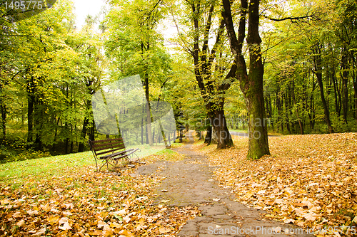 Image of Benches in park