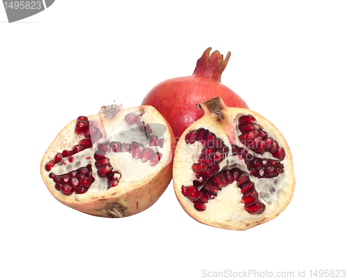 Image of Pomegranate.