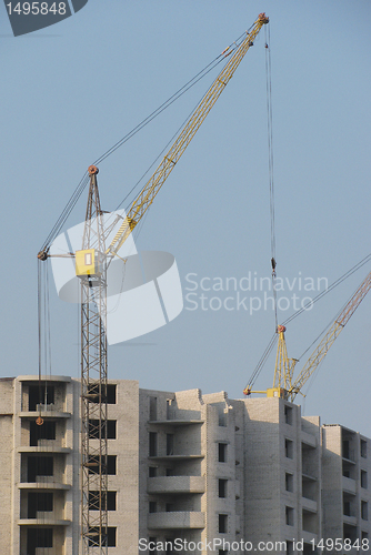 Image of building cranes 