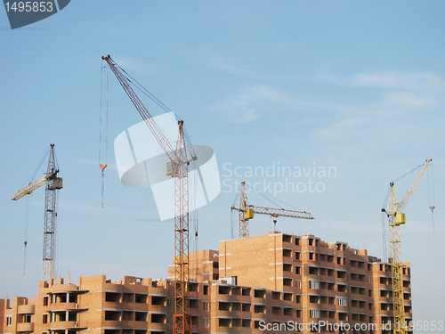 Image of building cranes