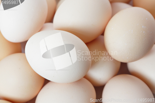 Image of eggs