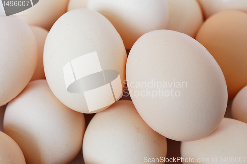 Image of eggs