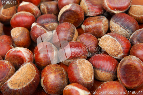 Image of chestnut