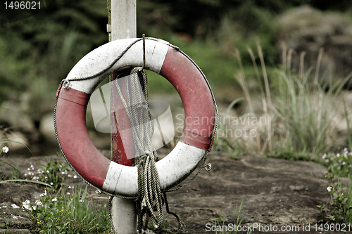 Image of Lifebuoy