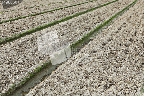 Image of Empty field