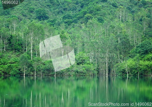 Image of lake with wood