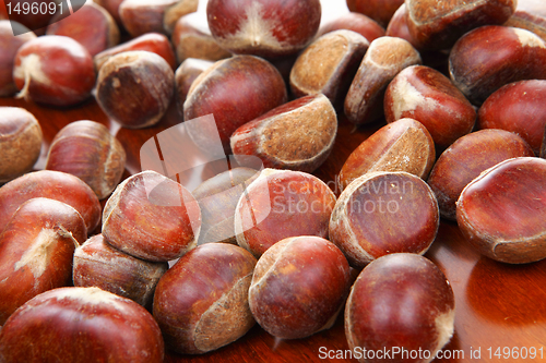 Image of chestnut