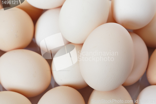 Image of egg