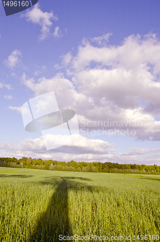 Image of Huge green meadow and tree shadow. Cloudy blue sky