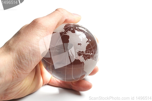 Image of ecology