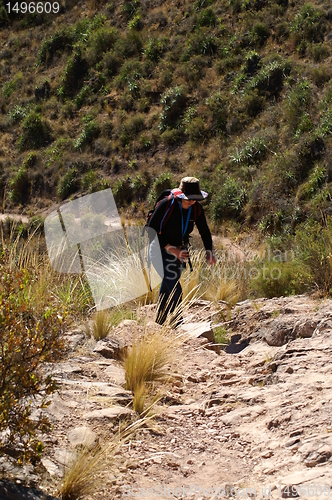 Image of Walking in Andes