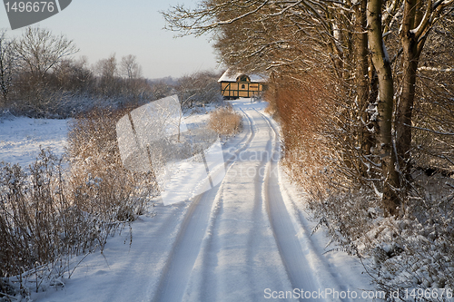 Image of Winter in Denmark