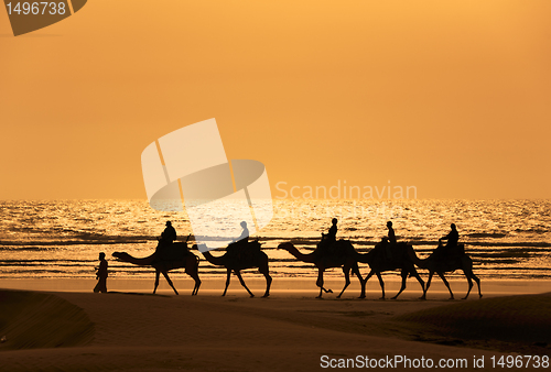 Image of A silhoutte of a dromedary and Tourists