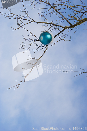 Image of Christmas toy covered with snow hanging on tree.