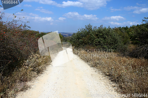 Image of countryside road
