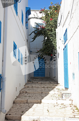 Image of Sidi Bou Said - typical building with white walls, blue doors and windows