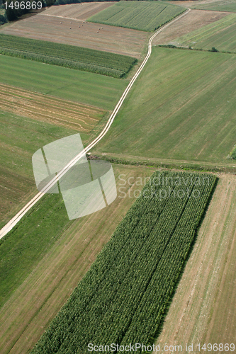 Image of Meadows and fields. Aerial image