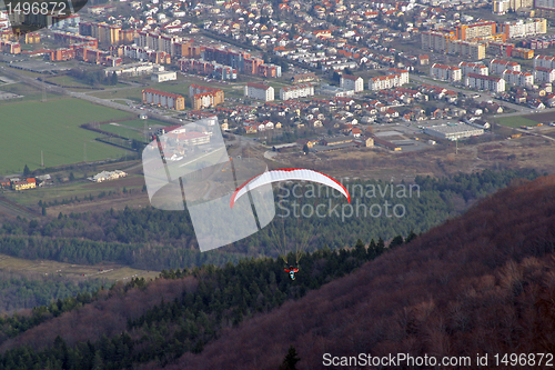 Image of Paragliding above Maribor city, Slovenia