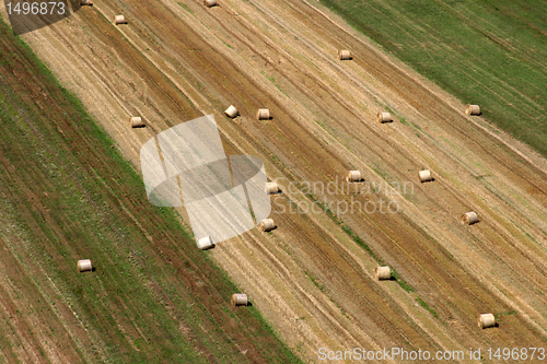 Image of Aerial view of harvest fields in summertime