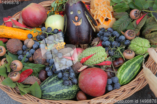 Image of Autumn Harvest