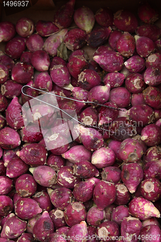 Image of prickly pear