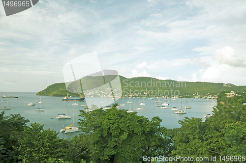 Image of    Port Elizabeth harbor Bequia St. Vincent and The Grenadines