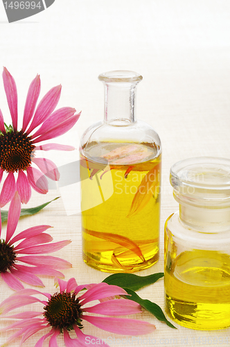 Image of Coneflower essential  oil in bottle - stillife