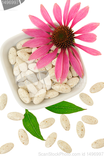 Image of Echinacea purpurea extract pills, alternative medicine concept