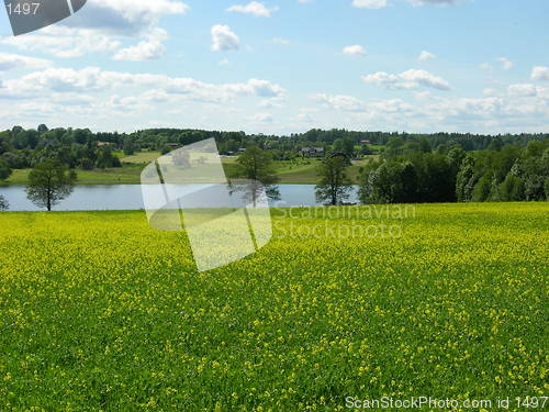 Image of Swedish Landscape