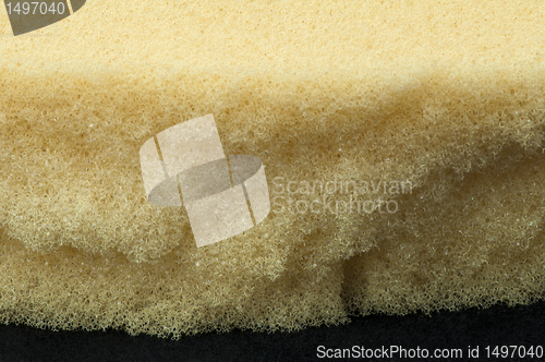 Image of Yellow foam sponge