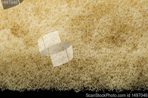 Image of Yellow foam sponge