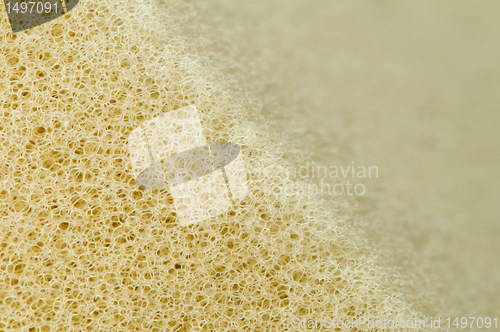 Image of Yellow foam sponge