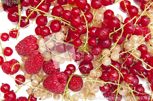 Image of Fruits