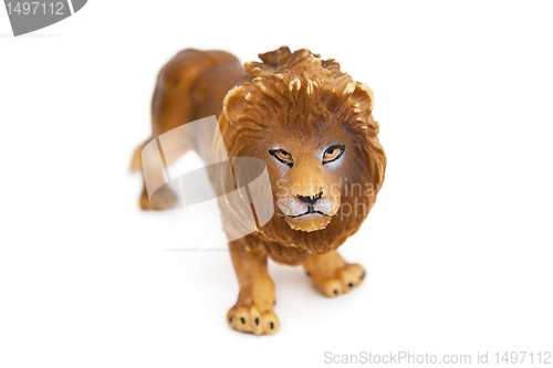 Image of Lion