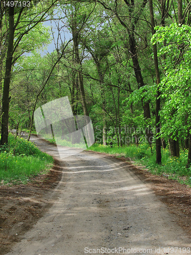 Image of path in a park