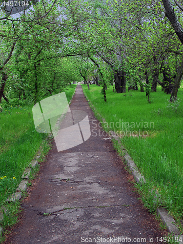 Image of path in a park
