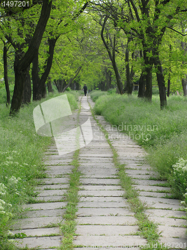 Image of path in a park