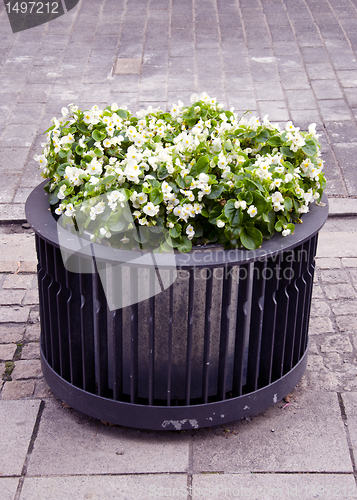 Image of Modern flower pot with blooming flowers in it.