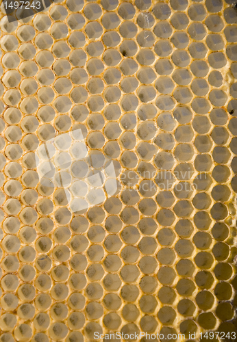 Image of Honeycomb mesh 